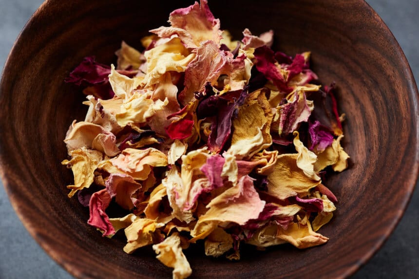 HONEY ROSE SPICE MASK + HONEY TAPPING Laurel Skin